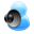Voice and video chat