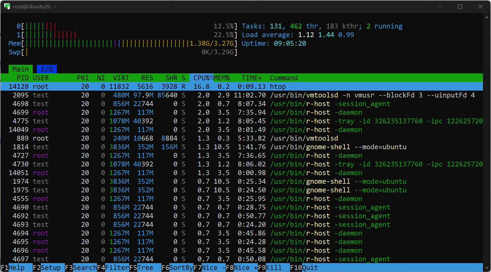 Terminal window of the Windows Viewer running htop on an Ubuntu Host