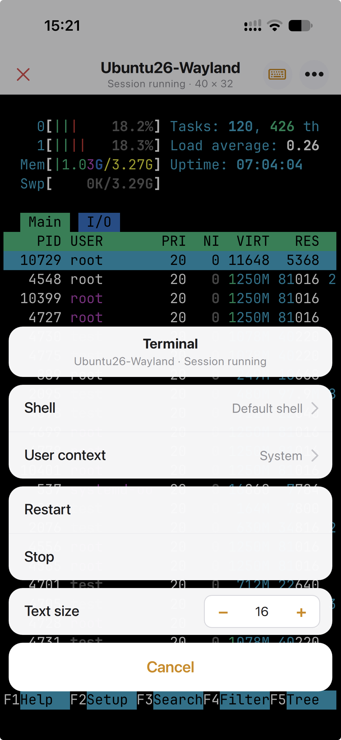Terminal options sheet on an iPhone: Shell, User context, Restart, Stop and Text size
