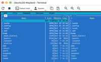 Terminal window of the Remote Utilities Viewer